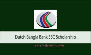 DUtch bangla Scholarship Logo
