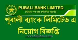 Pubali bank Ltd Job Logo